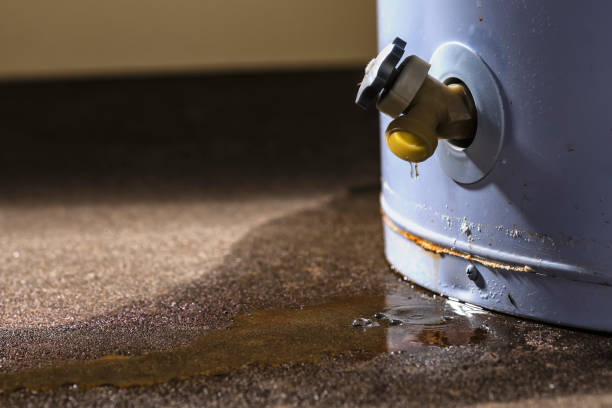 Best Basement water damage restoration  in Manche Village, CA
