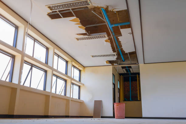 Best Carpet water damage restoration  in Manche Village, CA