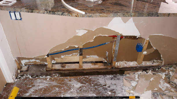 Best Water damage restoration near me  in Manche Village, CA