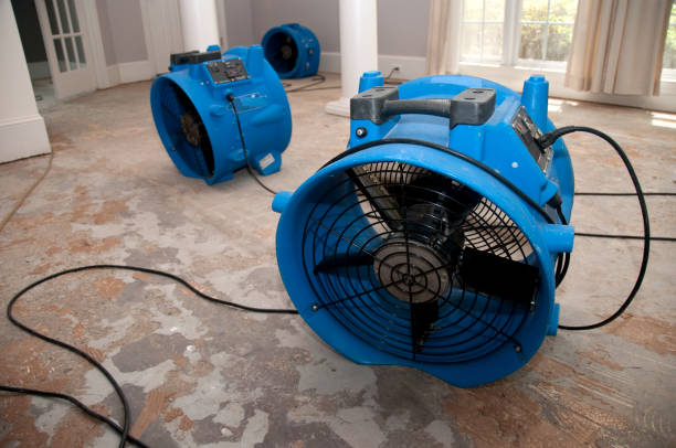 Best Commercial water damage restoration  in Manche Village, CA