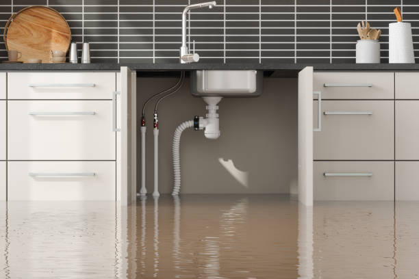 Best Water damage contractors near me  in Manche Village, CA