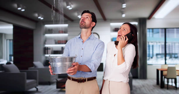 Best Water damage cleanup near me  in Manche Village, CA